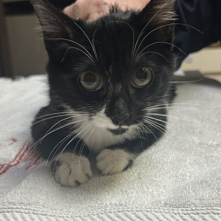 22cf29ddb90a447d2aa08e27e3293dd0