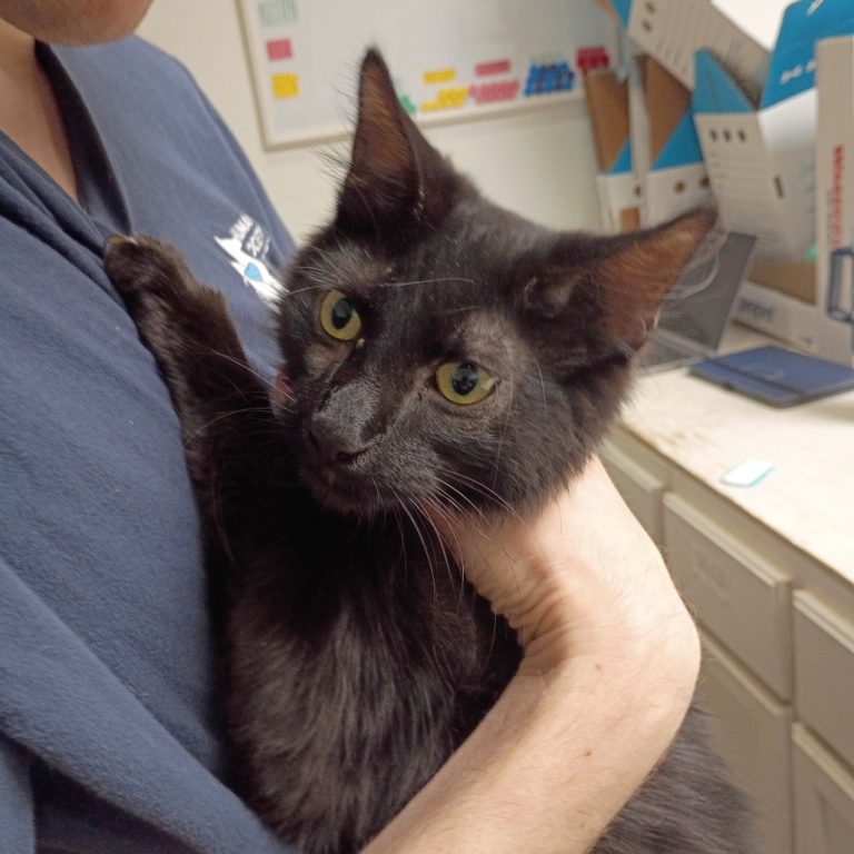 26b621ad36fe45f3dea96548e99c8ea2