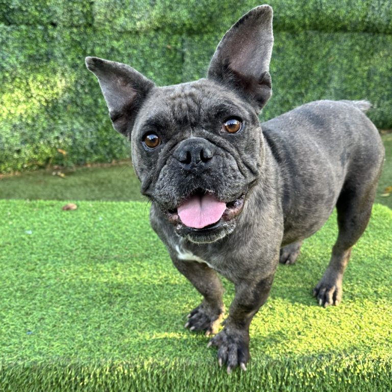 27446cead5fbbb9017fb695ffe4c439c