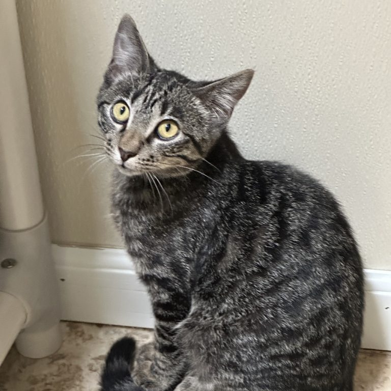 2769fa70a22a05658afea993238fd6ff