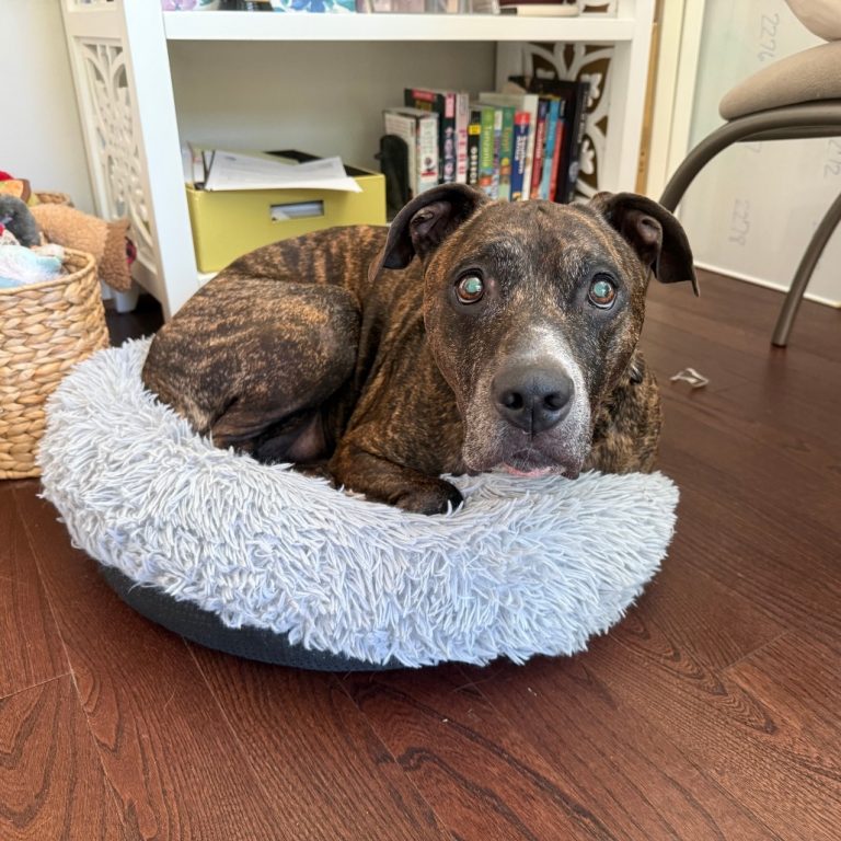 3ef7912368b29589fa0730779c01cc6b