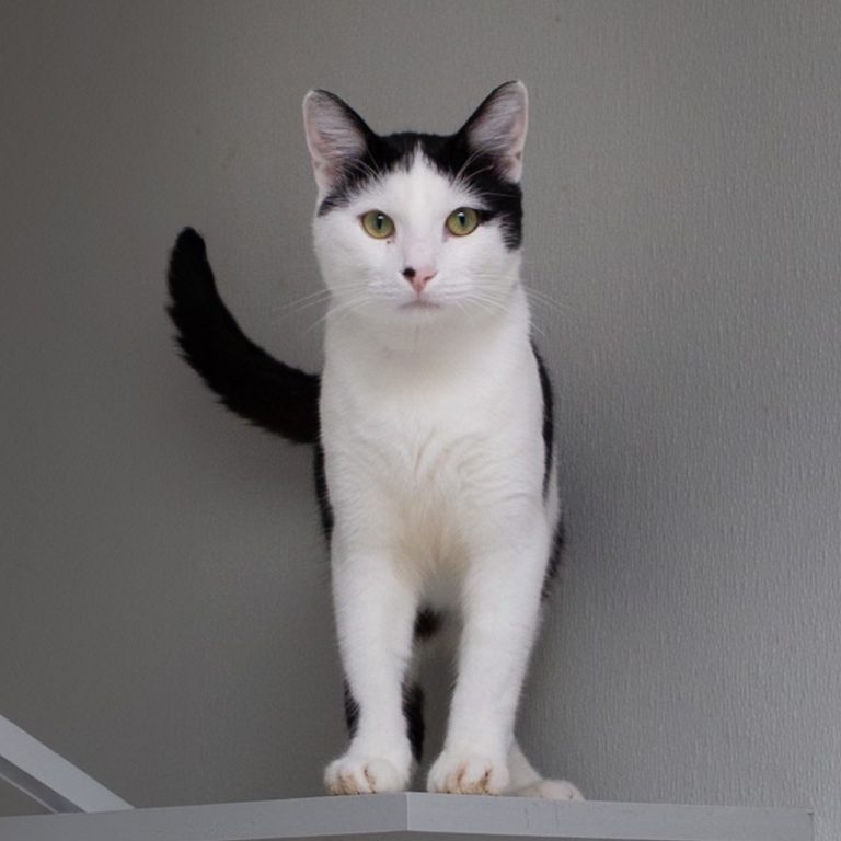 40fc4ff5c7739323b7cff3e18692ff0d