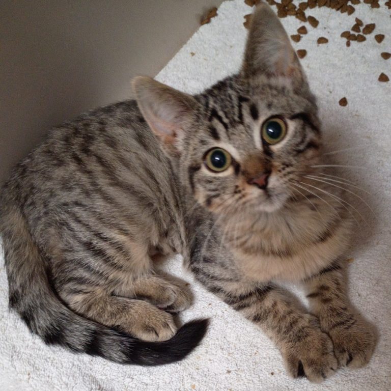 5f6227758d92e512535a6b00f54db858