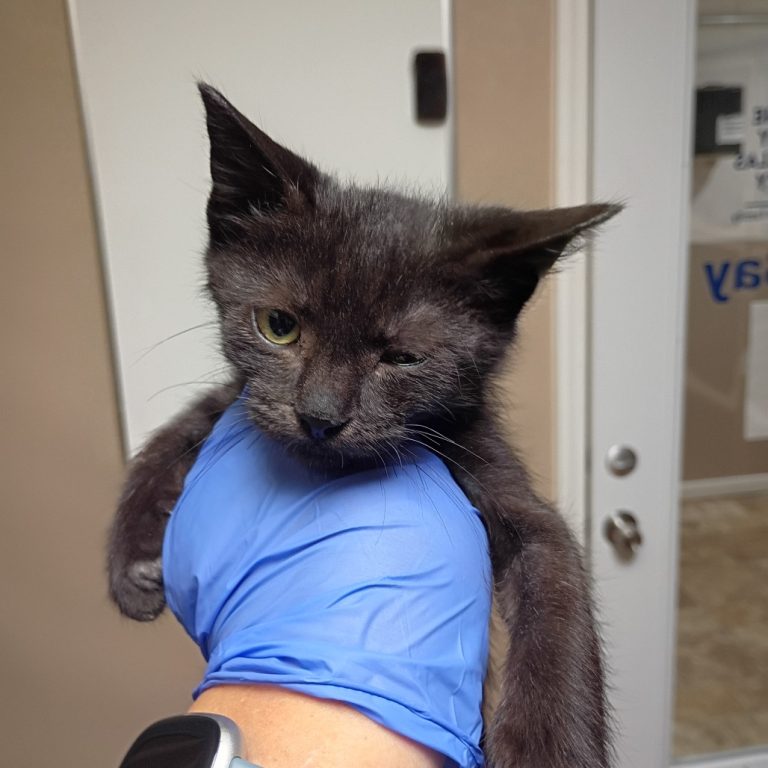 632326775e4573aeb3242c3398e02427