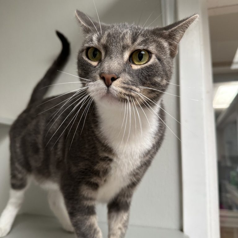 662b8ab945c31050d5fc6945ec99fc12