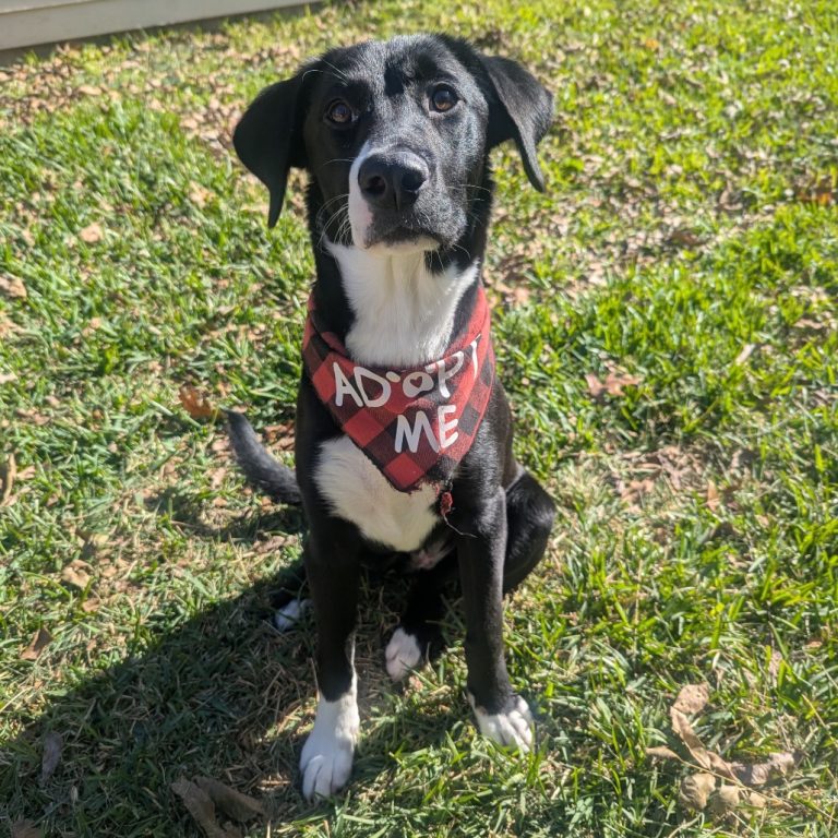 6a9c52ba93bd76cd56451e48c56b72ce