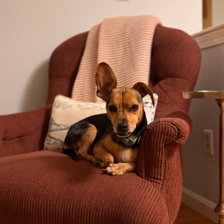 6d76168e46cc7b535df636449d0fe37a