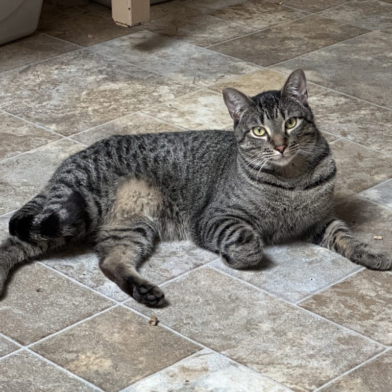 722f56d3f494a910c2e1d82163ca68ed