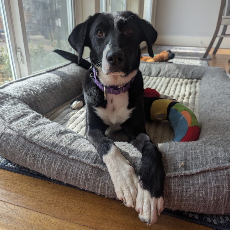 7d613f4536dc7b9480dff08ad8fc7af1