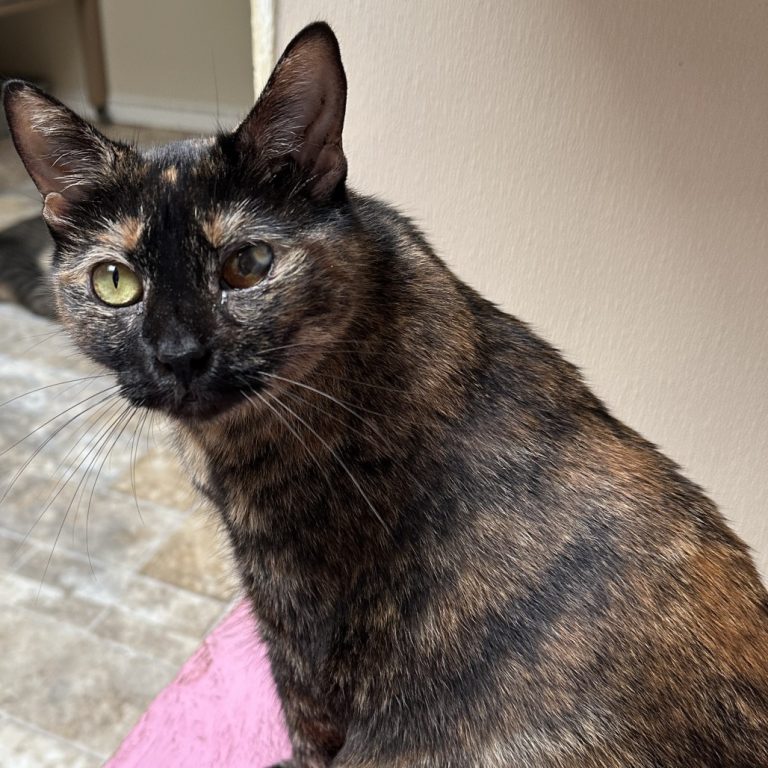 8123759b787970177dea99646ce53be5