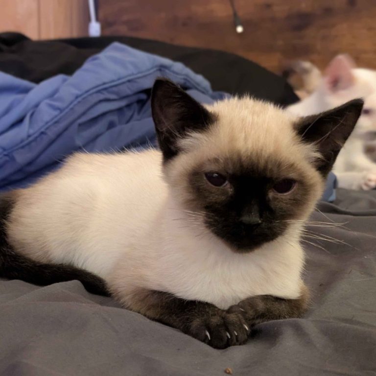 9320ffb41551ffc1819868fe50424d1d