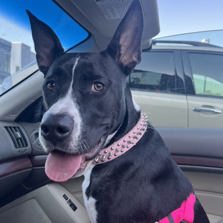 9d4c6622b599ea6dd799f8b236bb3efa