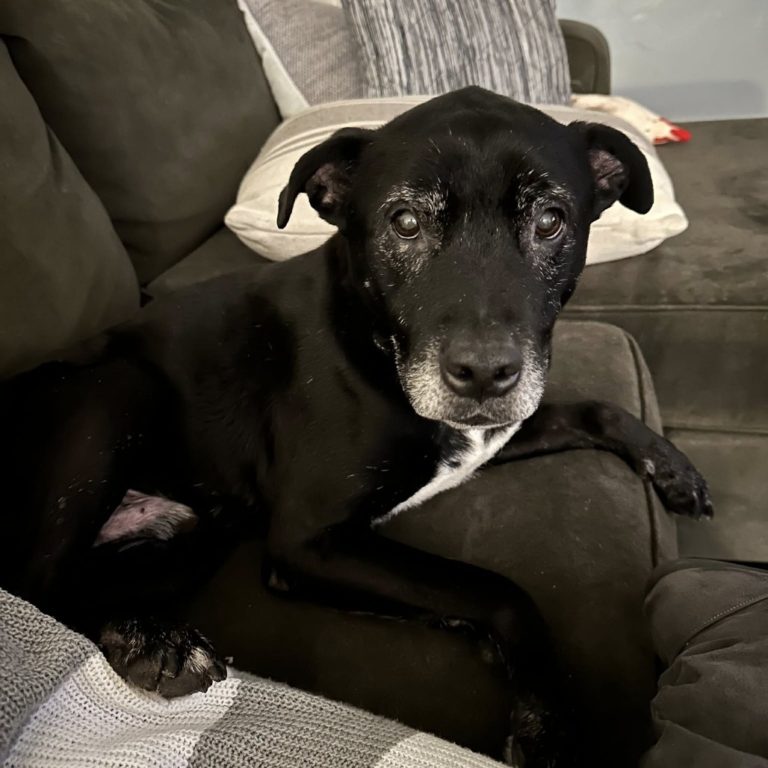 a06720c18b30ae6312cbc1d64df4bff9