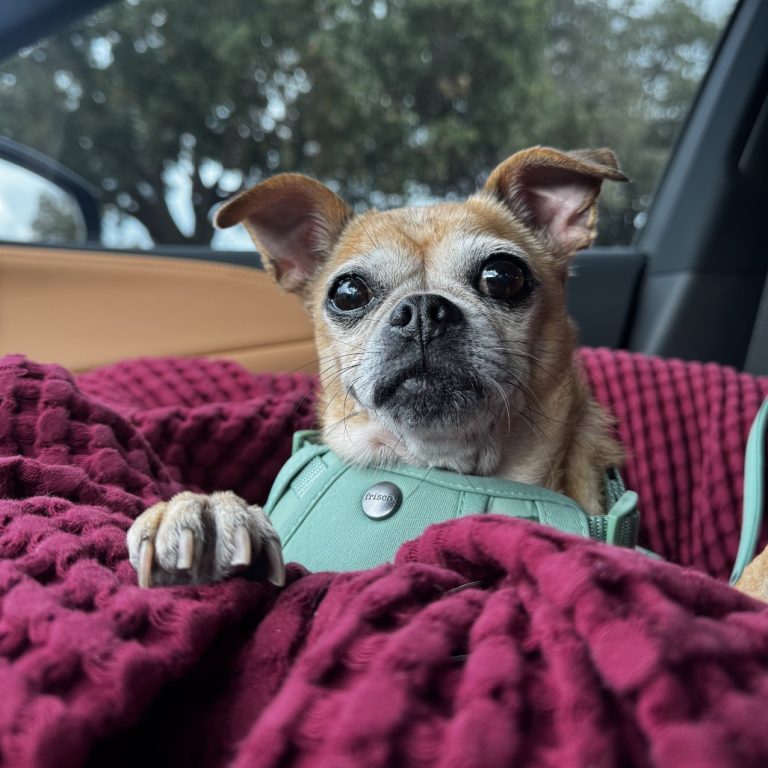 a628ed58430a122a2f0d2b2c680389fa