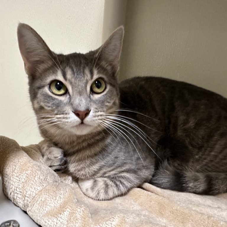 ad7d5a90224a1f02094cf57ef9d21b74