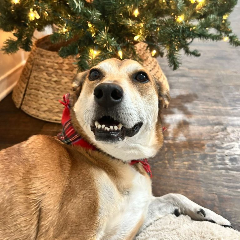 b473acc1549c1aa09ac00d8bc2e0aaad