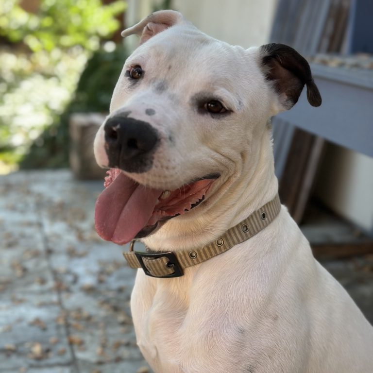 c20f808e2510ff26f7a76fe13294de89