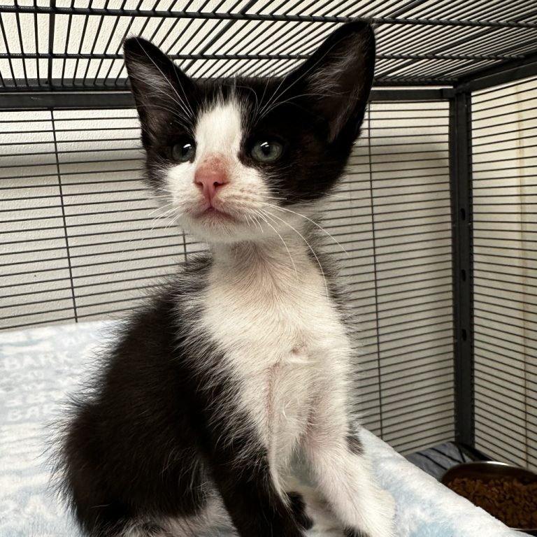 d6283b3a265c595f0ad845cd580e5074