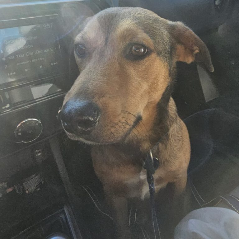 e7b2a9f9c40132d7a297a2c59786dabb