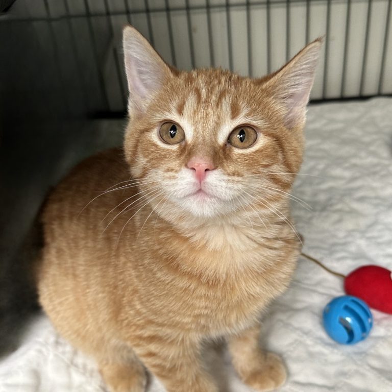 f0496900a49d29a84d2911190188f4b7