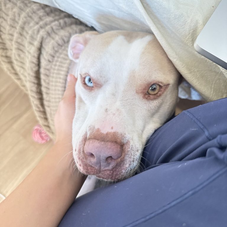 f44e747d19ebdf29005c8f60360197ed