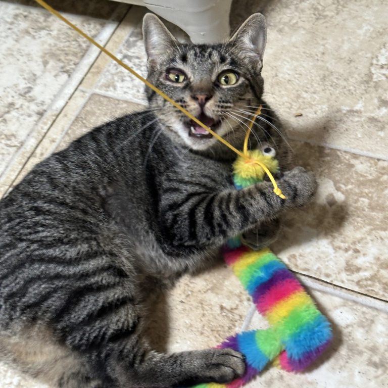 f8285ff38e4f1c04de93ff681cdfa3f7