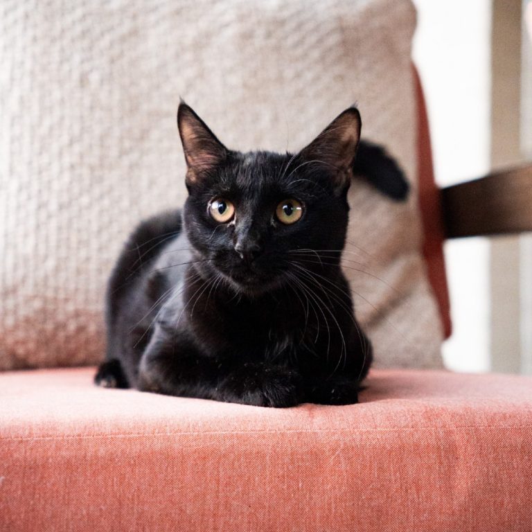 fb0d68dc85163bf215e7ebe173a0c6e7