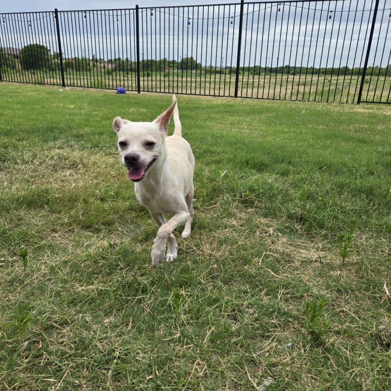 fef8de4e06f0735bf2be72b8422bfa93