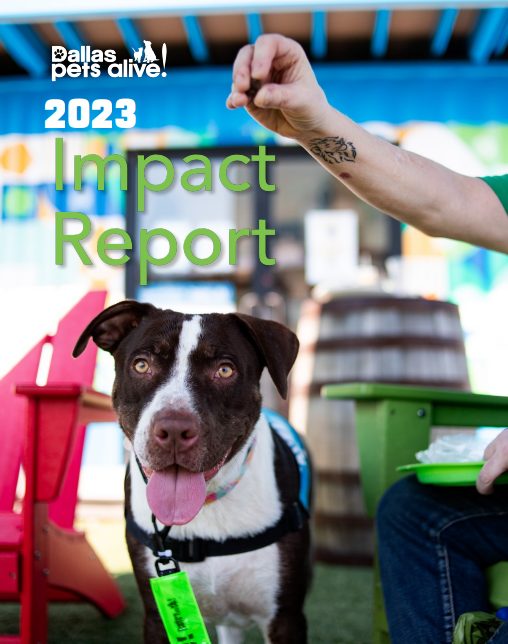 2023 Impact Report