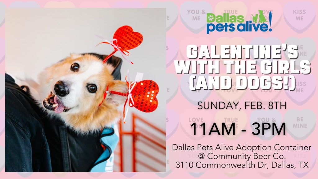 Galentine’s with the Girls 4 Galentines Brunch