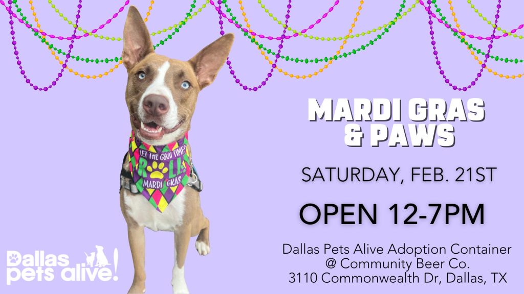 Mardi Gras and Paws