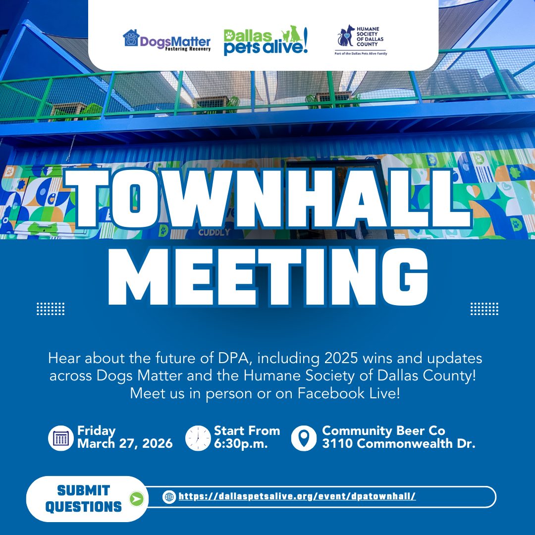 DPA Townhall 1 2026 Townhall 2