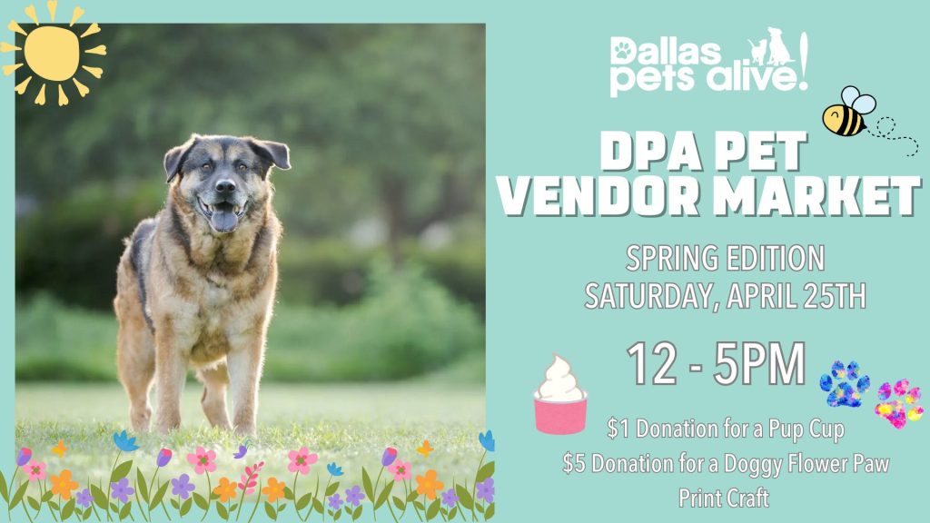 DPA Pet Vendor Market: Spring Edition 4 April Spring Activities DPA Vendor Market