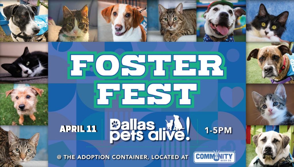 Foster Fest 3 Foster Fest Graphic