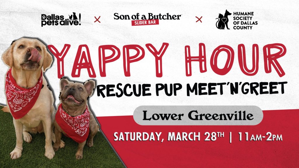 SoB LG Adoption Event FB Event 1920x1080 0226 R