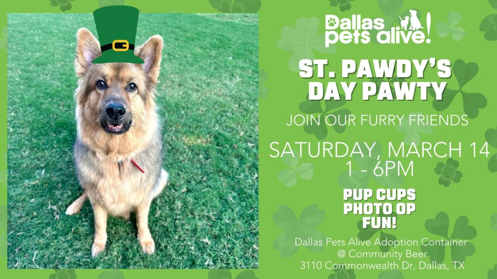 St. Pawdy’s Day Pawty 3 St Pawdys Day
