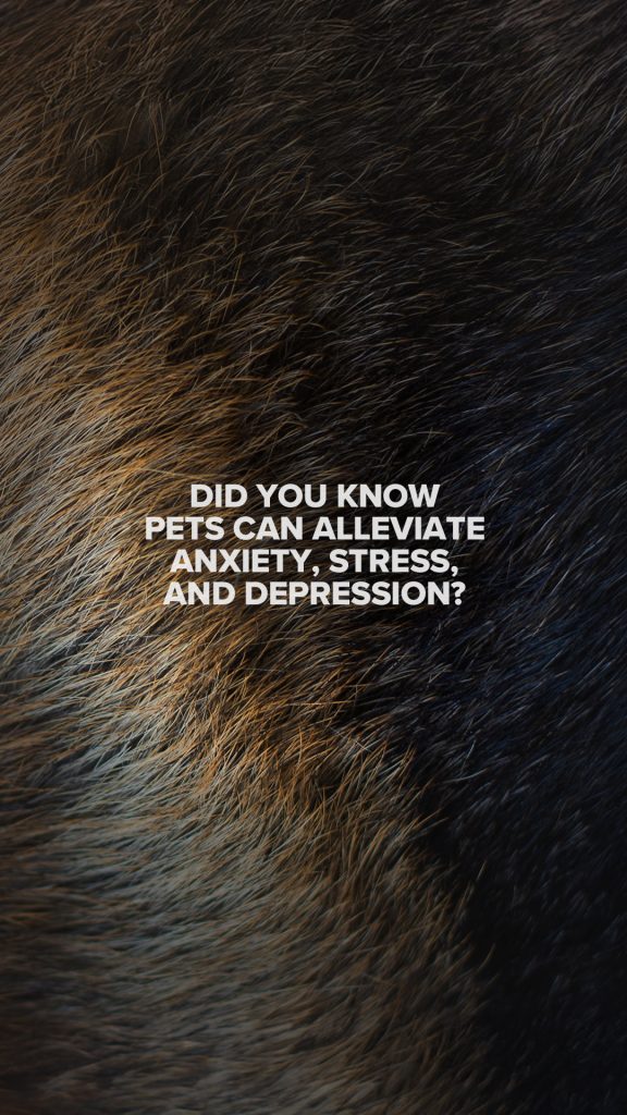DPA IG 1080x1920 Anxiety 4