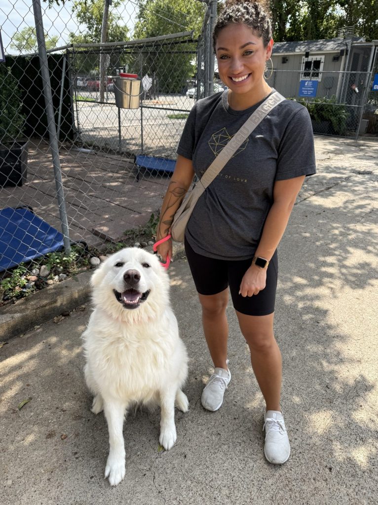 Day Naga Left the Shelter