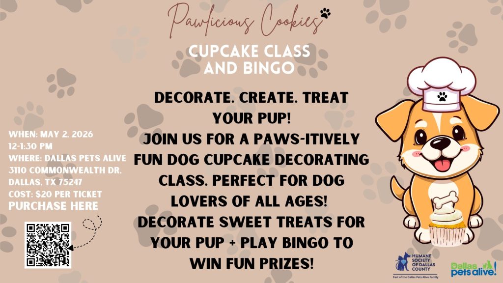 Flyer Cupcake Class 1920 x 1080 px page 0001