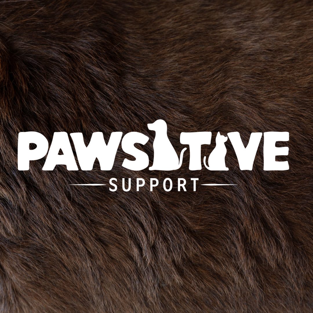 pawsitive