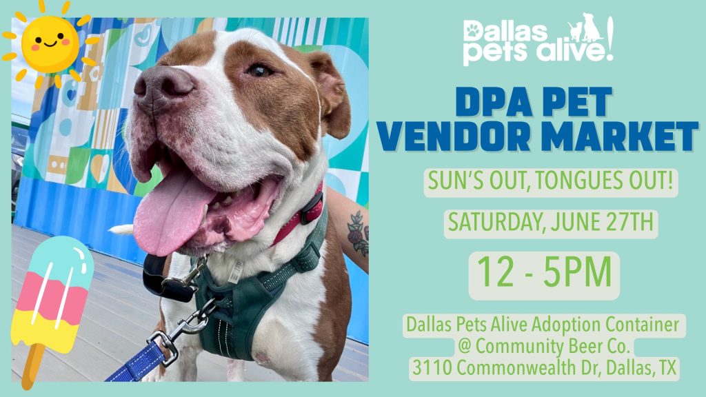 DPA Pet Vendor Market: Sun’s Out, Tongues Out 4 711075564 1561458862016607 6720715207855406817 n