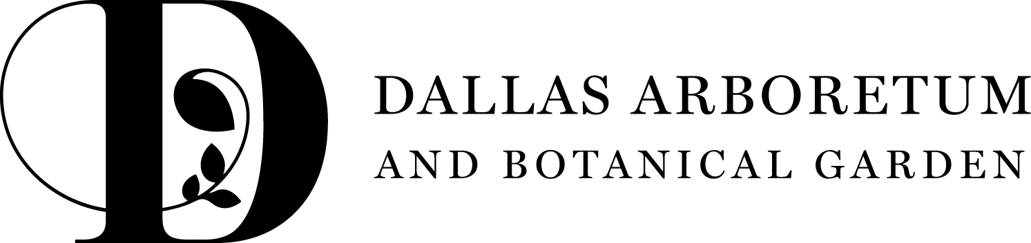 DA Logotype Horiz Corporate 1Color