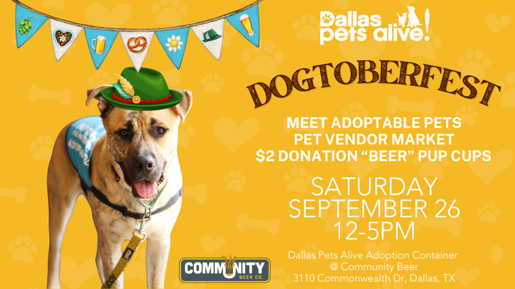 DOGtoberfest 1 Barktoberfest