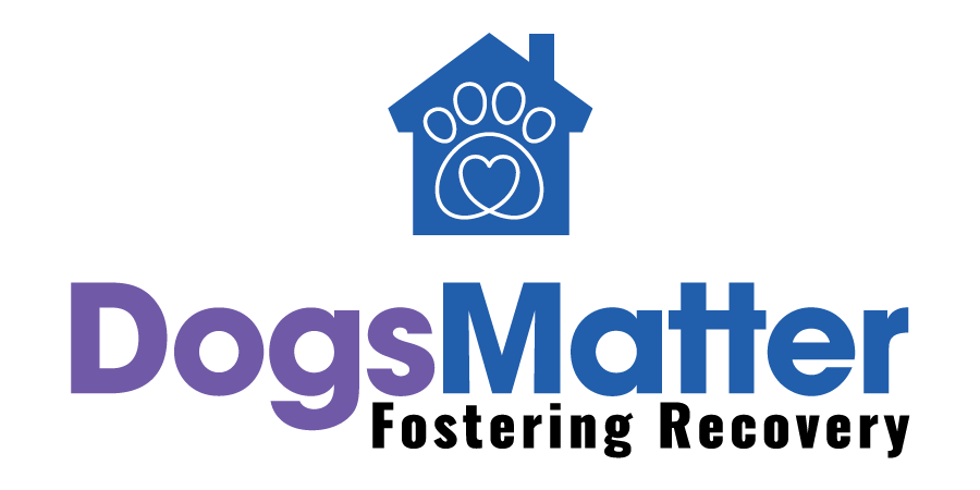 Dogs Matter and Project Street Vet Join Forces to Bring Recovery Support to Skid Row Pet Owners 2 image
